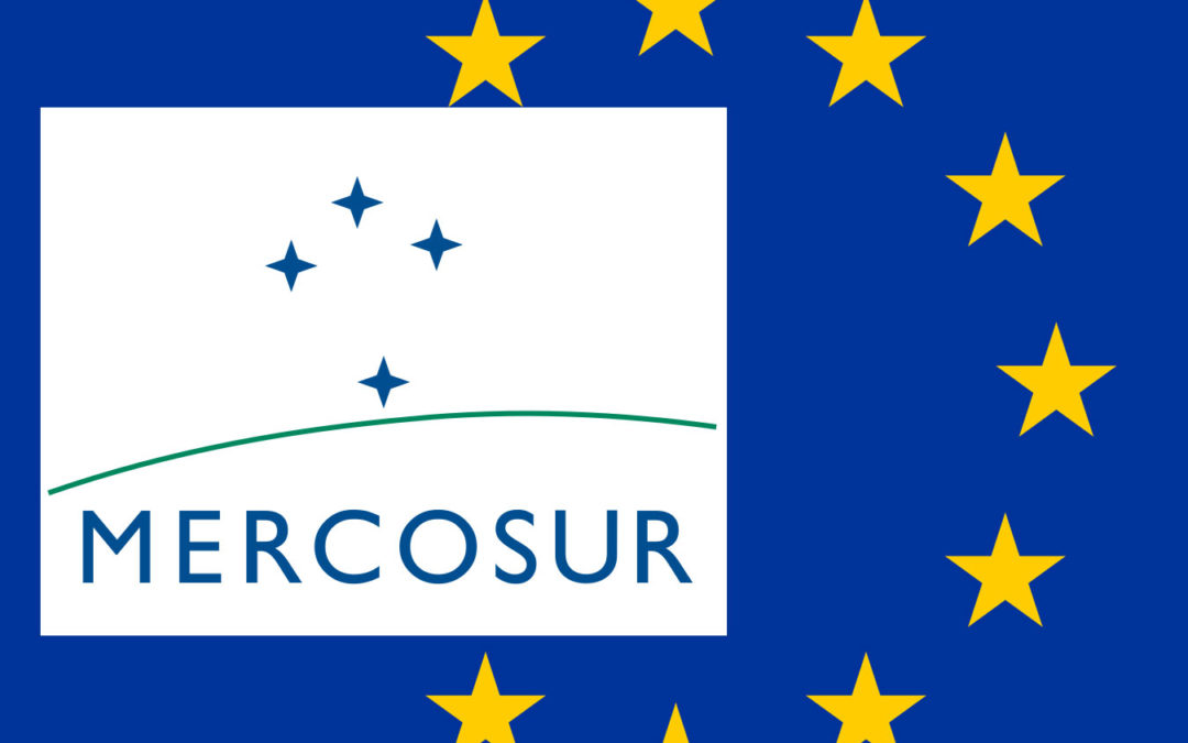 Accord UE-Mercosur – Passage en force de la Commission européenne : les filières agricoles françaises pressent la France de tenir ses engagements
