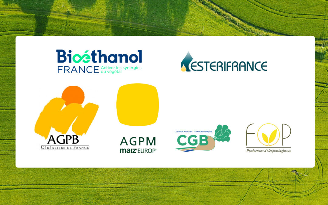 Révision du Règlement CO2 des véhicules légers : L’exclusion des biocarburants agricoles par la Commission menace les filières françaises et la décarbonation effective de l’automobile.